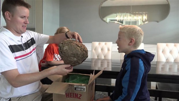 Foto - Dev eşek arısı kovanını ikiye böldüler!