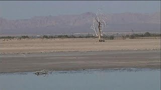 Foto - Dev gölün altında 540 milyar dolarlık beyaz altın bulundu! Resmen hazine keşfedildi