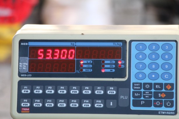 Foto - Dev karpuzun ağırlığı duyanları şoke etti!