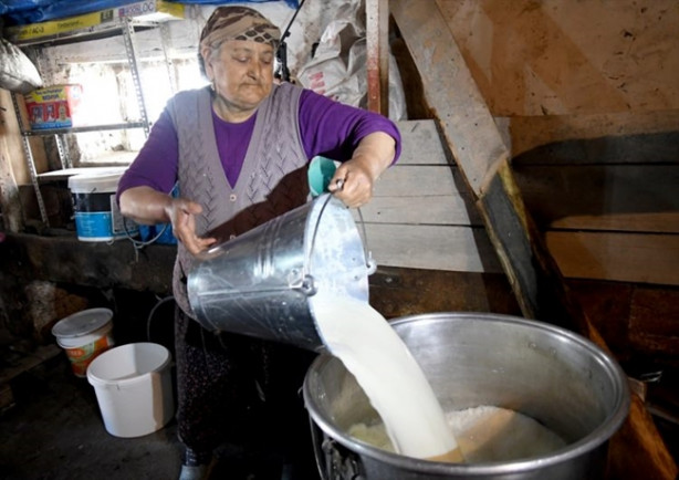 Foto - Dev kazanlar çeçil peyniri için yakıldı