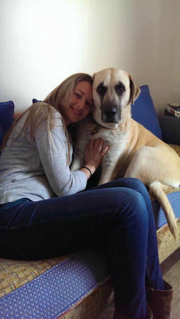 Foto - Dev köpekler görenleri şaşırtıyor