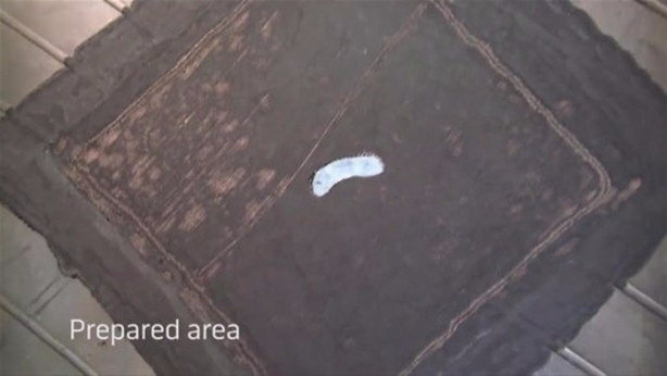 Foto - Dev lastiği böyle tamir ediyor!