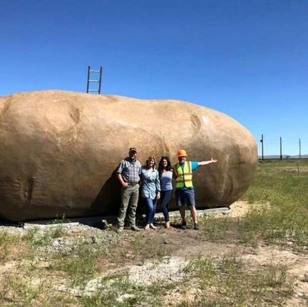 Foto - Dev patatesin içinden bakın ne çıktı? Herkes ne olduğunu merak etti