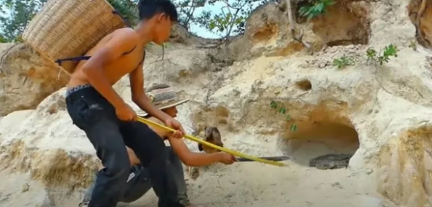 Foto - Dev pitona kafa tutan tavuk sosyal medyayı salladı