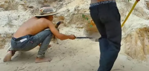 Foto - Dev pitona kafa tutan tavuk sosyal medyayı salladı