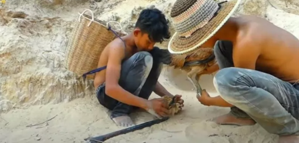 Foto - Dev pitona kafa tutan tavuk sosyal medyayı salladı