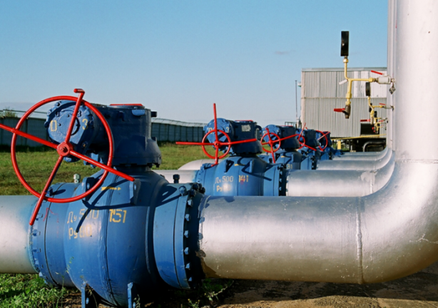 Foto - Dev proje görücüye çıktı