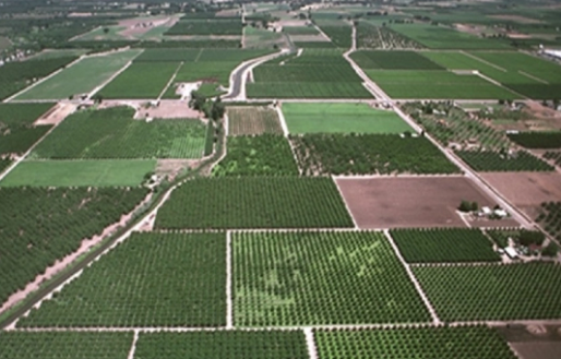 Foto - Dev şirket Diyarbakır'da 7 bin dönüm arazi kiraladı! 29 yıllık anlaşma imzalandı, bakın ne yapacaklar