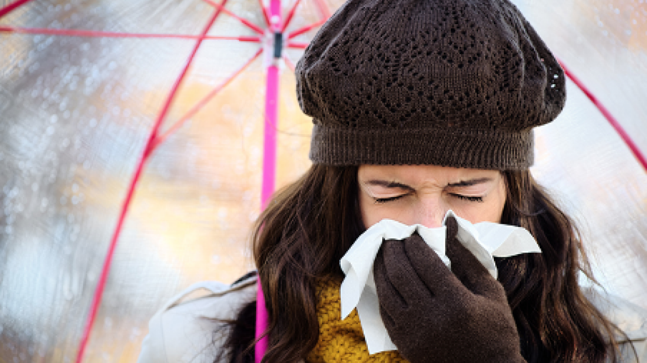 Dev yardımcıları sofranıza koyun... Kışın yardımcı besinleri: Bağışıklığı ayağa kaldırıyor