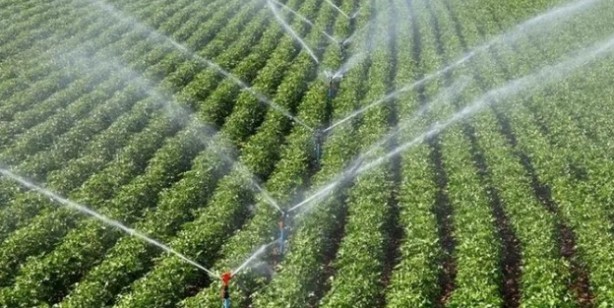 Foto - Dev yatırım hamlesi! Vatandaşın refahı artacak! İşte 2024 yılına ilişkin hükümetin programı...