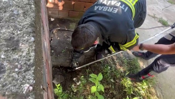 Foto - Dev yılan o ilimizde evlere girmeye başladı! Tek ısırığı öldürmeye yetiyor