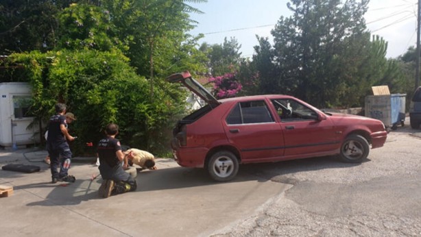 Foto - Dev yılan otomobile girdi! Yılanlar neyin habercisi?