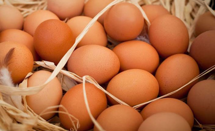 Foto - Devasa çiftlikleri vardı! Ünlü yumurta markası iflas etti