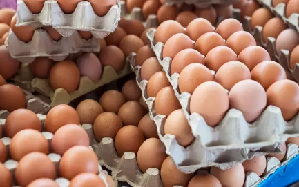 Foto - Devasa çiftlikleri vardı! Ünlü yumurta markası iflas etti