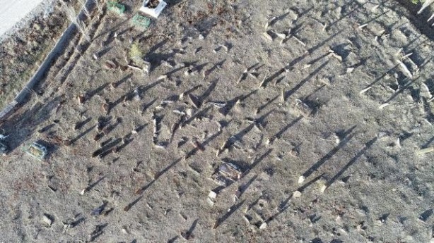 Foto - Devasa boyutları dikkat çekiyor! Her biri gökten yere düşüp saplanmış gibi...