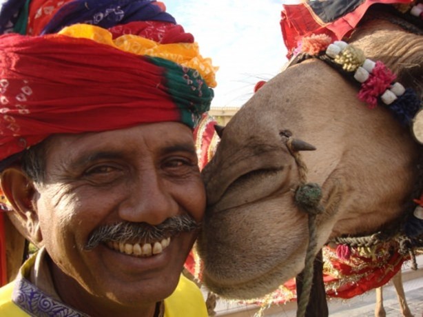 Foto - Develerin hayrete düşüren özellikleri