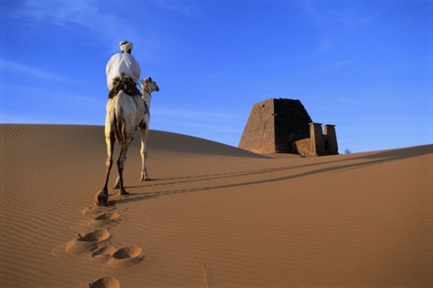 Foto - Develerin hayrete düşüren özellikleri