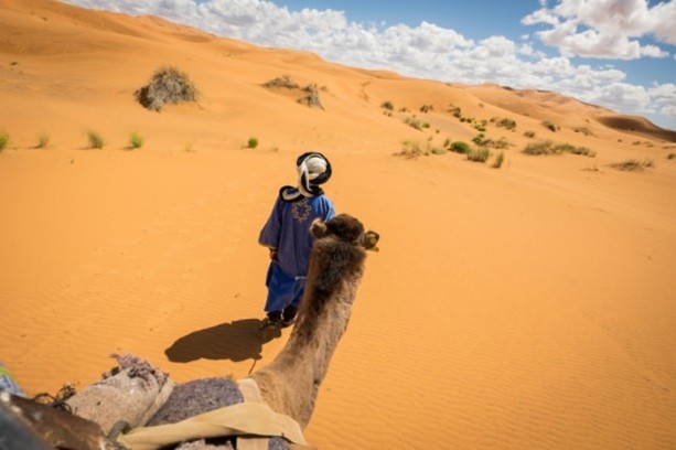 Foto - Develerin hayrete düşüren özellikleri
