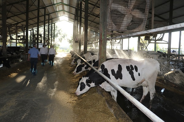 Foto - Devlet desteği aldı! 11 yılda hayallerine ulaştı