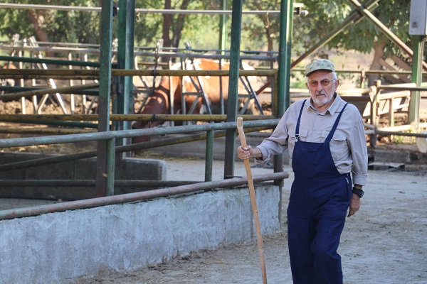 Devlet desteği aldı! 11 yılda hayallerine ulaştı