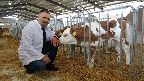 Foto - Devlet desteği aldı! Bu yöntemle 80 bin liralık elektrik gideri sıfırlandı