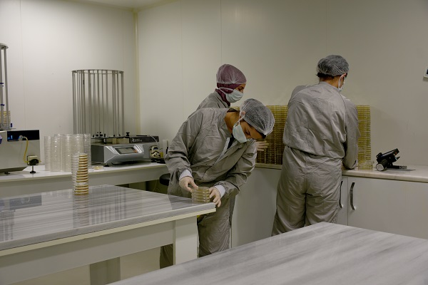 Foto - Devlet desteği aldı ihracatı ve istihdamı artırdı