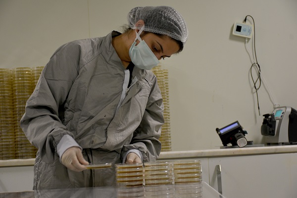 Devlet desteği aldı ihracatı ve istihdamı artırdı