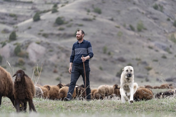 Foto - Devlet desteği aldı sürü sahibi oldu