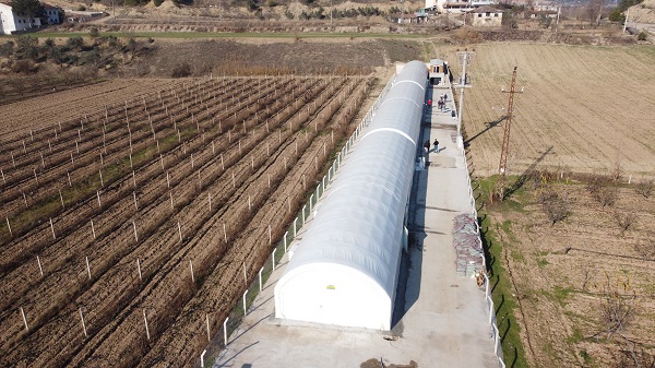 Foto - Devlet desteği aldı! Yılda 100 ton üretiyor kapış kapış gidiyor