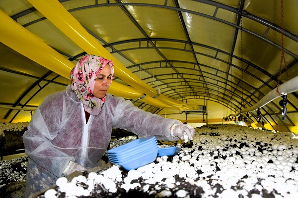 Foto - Devlet desteği aldı! Yılda 100 ton üretiyor kapış kapış gidiyor