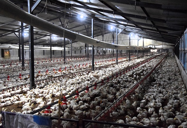 Foto - Devlet desteği alıp kurdular! Enerji maliyetini sıfırladılar