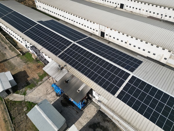 Foto - Devlet desteği alıp kurdular! Enerji maliyetini sıfırladılar