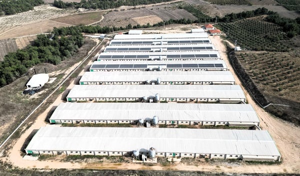 Devlet desteği alıp kurdular! Enerji maliyetini sıfırladılar