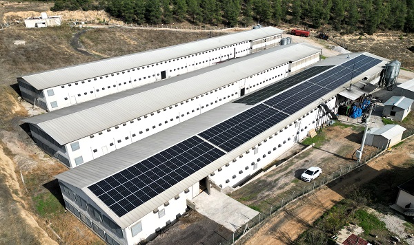 Foto - Devlet desteği alıp kurdular! Enerji maliyetini sıfırladılar