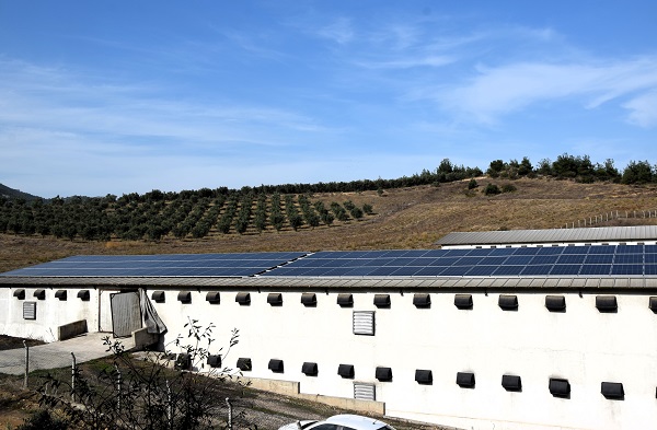 Foto - Devlet desteği alıp kurdular! Enerji maliyetini sıfırladılar