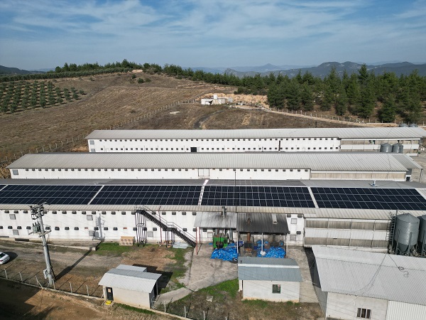 Foto - Devlet desteği alıp kurdular! Enerji maliyetini sıfırladılar