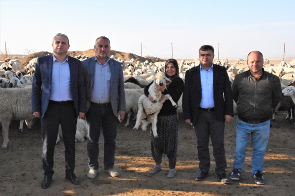 Foto - Devlet desteğiyle 250 hayvanlık sürünün sahibi oldu