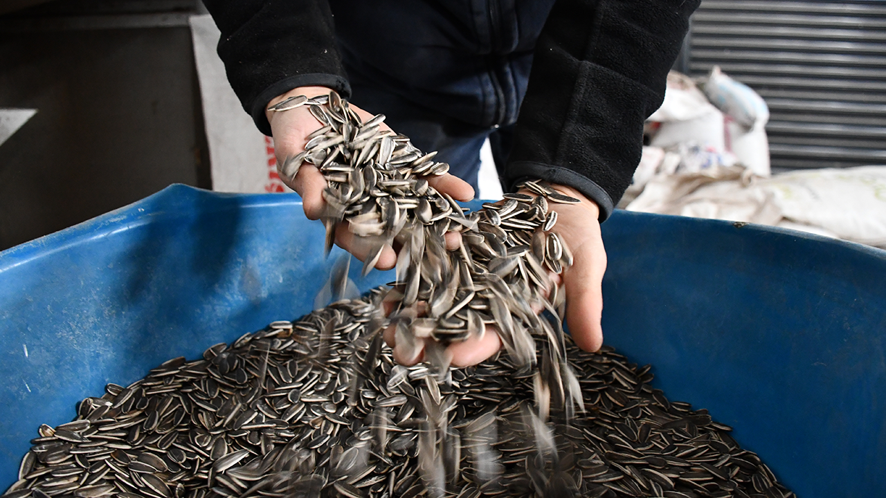 Devlet desteğiyle başladı... Yılda 1000 ton üretim yapıyor!