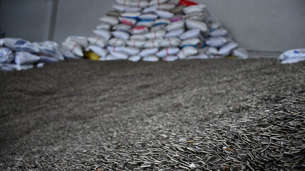 Foto - Devlet desteğiyle başladı... Yılda 1000 ton üretim yapıyor!