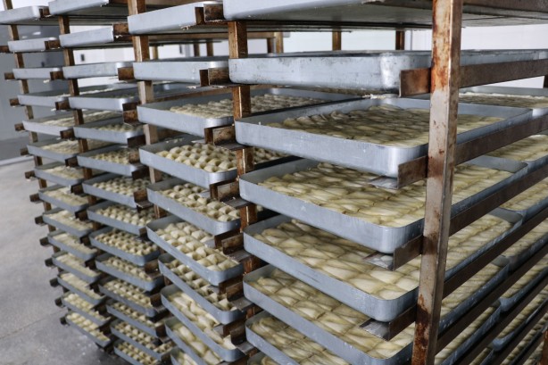 Foto - Devlet desteğiyle başladılar! Resmen ihya oldular