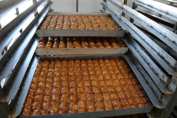 Foto - Devlet desteğiyle başladılar! Resmen ihya oldular