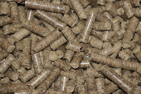 Foto - Devlet desteğiyle bu işe başladı... Talep yağıyor