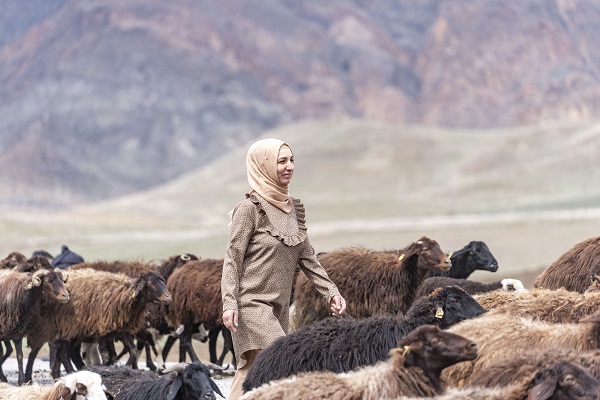 Foto - Devlet desteğiyle büyük başarı! 100 tane ile başladı sürü sahibi oldu