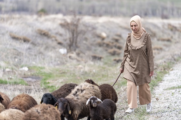 Foto - Devlet desteğiyle büyük başarı! 100 tane ile başladı sürü sahibi oldu