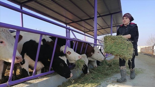 Foto - Devlet desteğiyle çiftlik kuran üniversite mezunu kadın herkesi şaşkına çevirdi