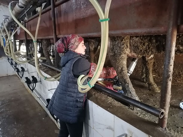 Devlet desteğiyle çiftlik kuran üniversite mezunu kadın herkesi şaşkına çevirdi