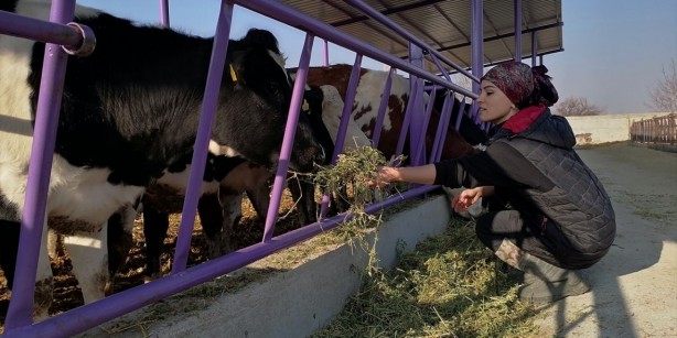 Foto - Devlet desteğiyle çiftlik kuran üniversite mezunu kadın herkesi şaşkına çevirdi