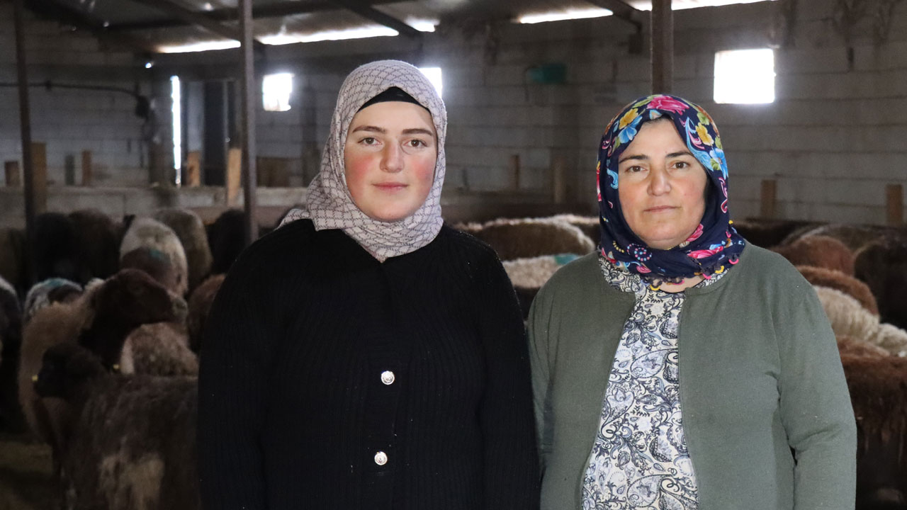 Foto - Devlet desteğiyle dönüşüm! 100 koyunla başladı, hayvan sayısı 900’e çıktı