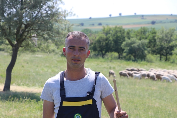 Foto - Devlet desteğiyle genç yaşta sürü sahibi oldu