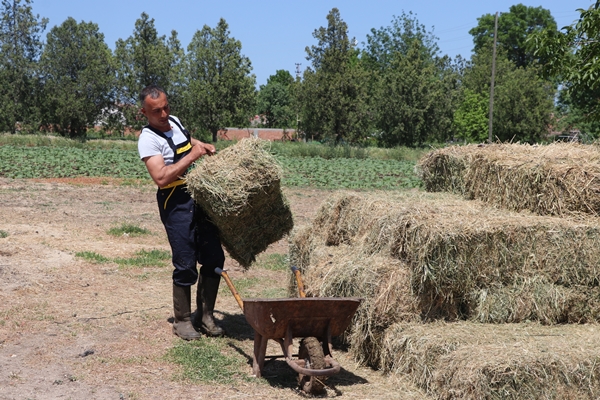 Foto - Devlet desteğiyle genç yaşta sürü sahibi oldu